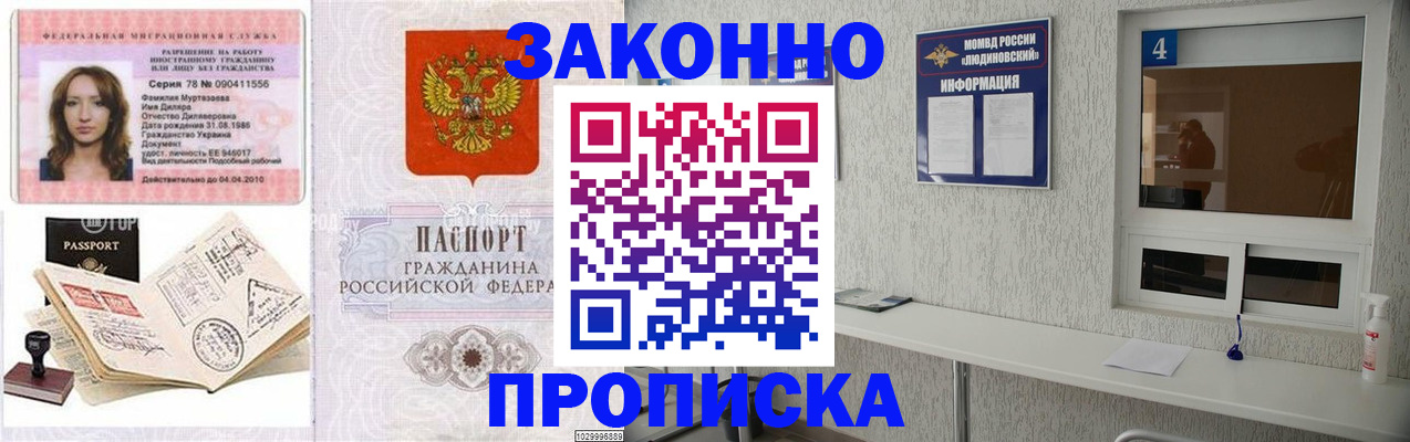 прописка в квартире в Щёкино